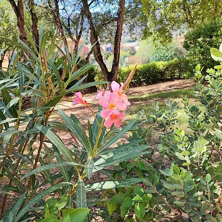 Maison Dora * Villasimius