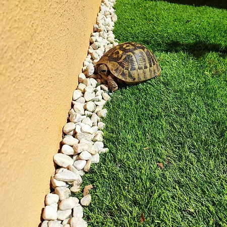 Maison Dora Віллазімьюс