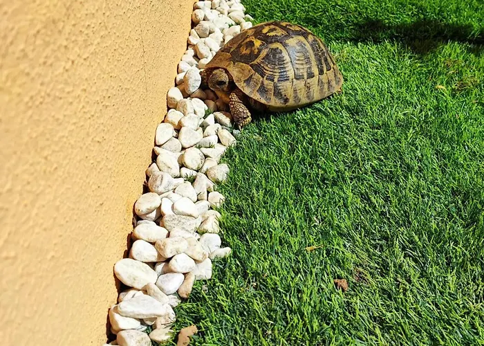 Maison Dora Villasimius