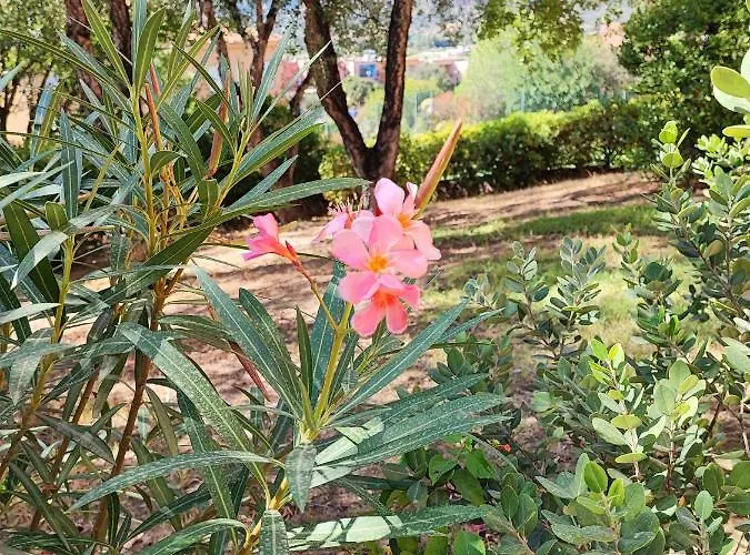 Maison Dora * Вилласимиус